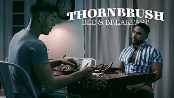 Oynat Thornbrush yatak ve kahvaltı brock bankaları, nico coopa