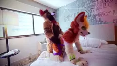 Играть Furry Orgy: Симпатичные twinks в фуршу с грязными - застоновные компиляции